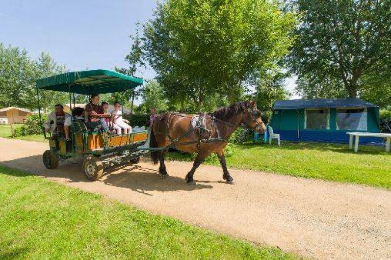 Location de vacances - Camping à Brissac-Quincé