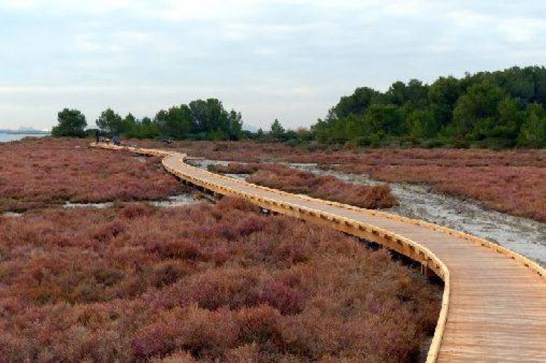 Location de vacances - Villa à Frontignan