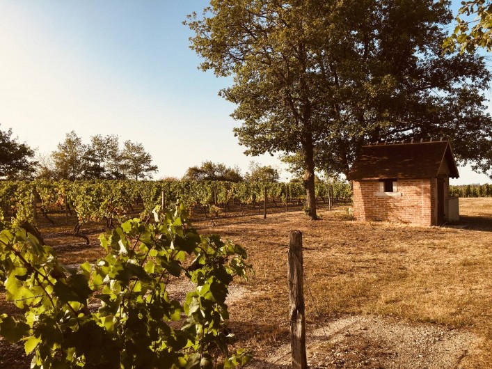 Location de vacances - Gîte à Saint-Pourçain-sur-Sioule