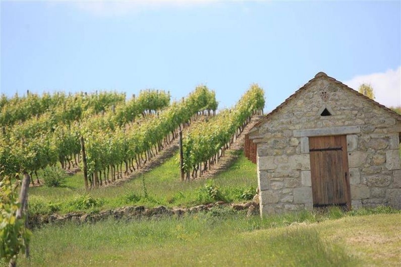 Location de vacances - Gîte à Saint-Pourçain-sur-Sioule
