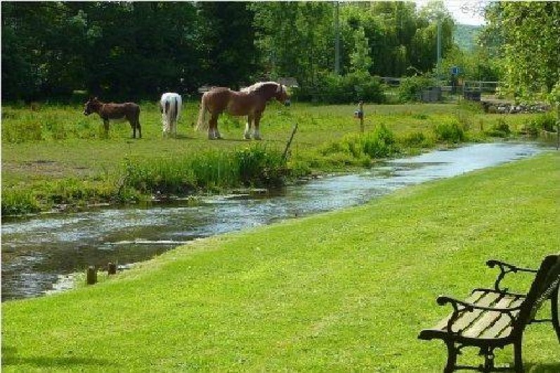 Location de vacances - Gîte à Bellengreville