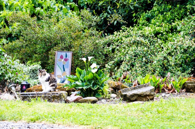 Location de vacances - Gîte à Madiran - Gardens