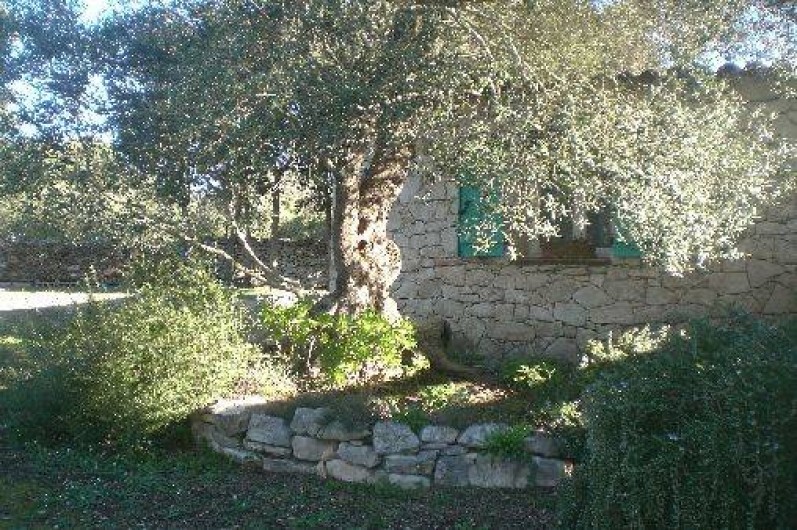 Location de vacances - Villa à Bonifacio