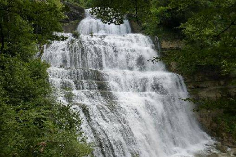 Location de vacances - Gîte à Bellefontaine