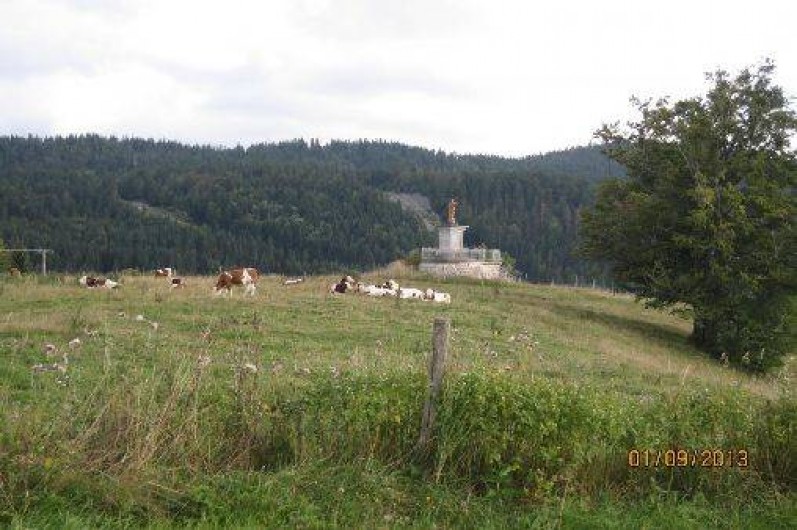 Location de vacances - Gîte à Bellefontaine