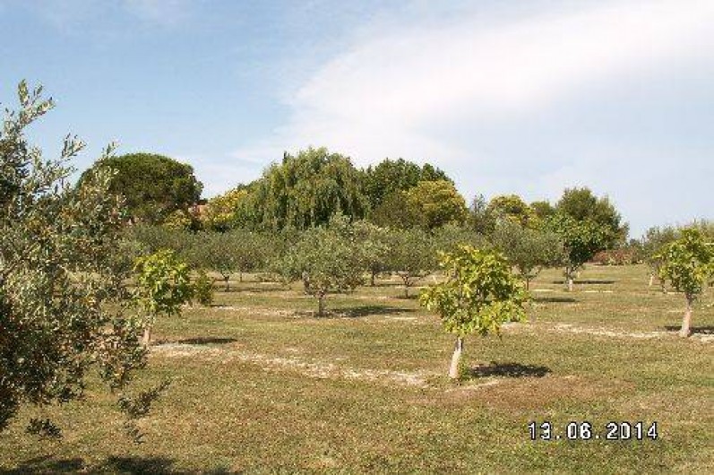 Location de vacances - Gîte à Tarascon