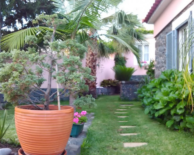 Location de vacances - Gîte à Funchal - Jardin et barbecue