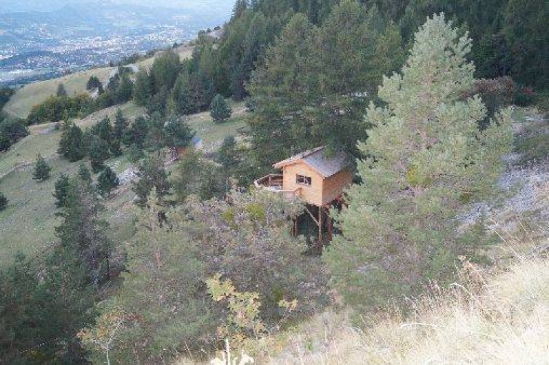 Location de vacances - Cabane dans les arbres à Gap