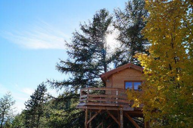 Location de vacances - Cabane dans les arbres à Gap