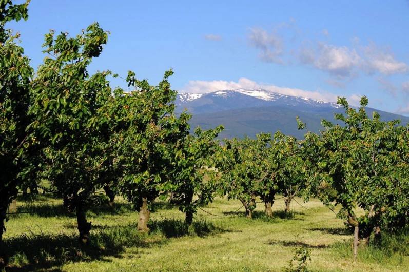 Location de vacances - Gîte à Rigarda