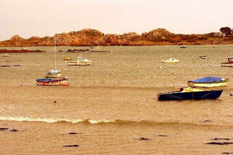 Location de vacances - Villa à Plougasnou