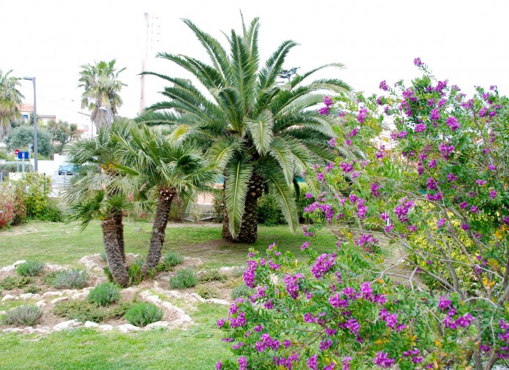 Location de vacances - Appartement à Saint-Aygulf