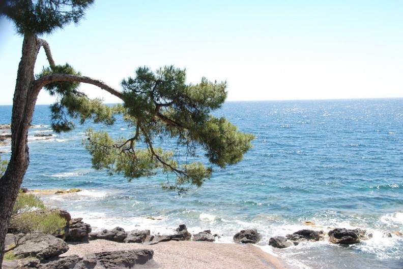 Location de vacances - Appartement à Saint-Aygulf - Petite crique allongée aux rives escarpées