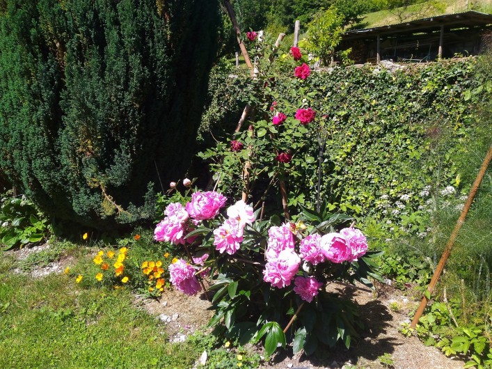 Location de vacances - Chambre d'hôtes à Montailleur
