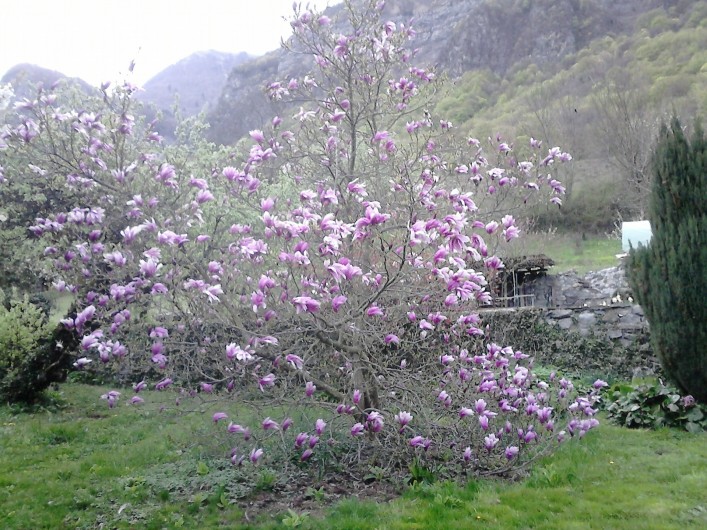 Location de vacances - Chambre d'hôtes à Montailleur