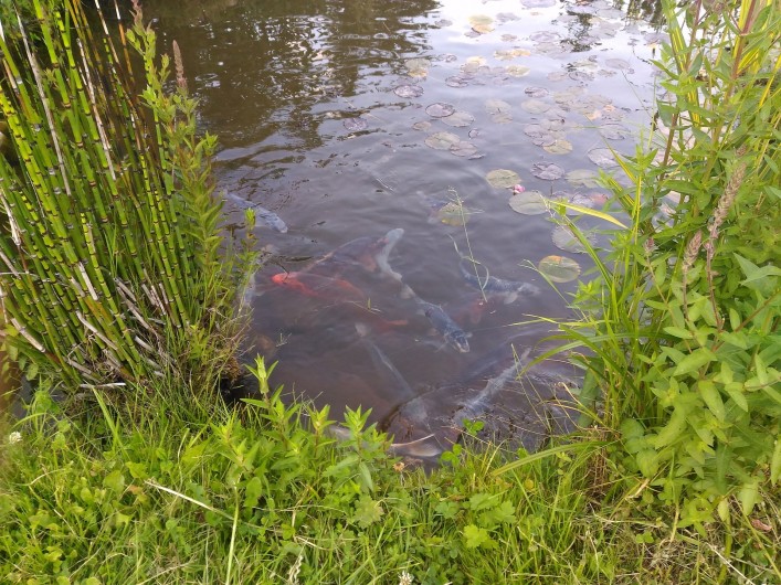 Location de vacances - Chambre d'hôtes à Montailleur