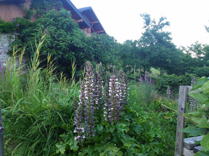 Location de vacances - Chambre d'hôtes à Montailleur
