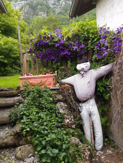 Location de vacances - Chambre d'hôtes à Montailleur