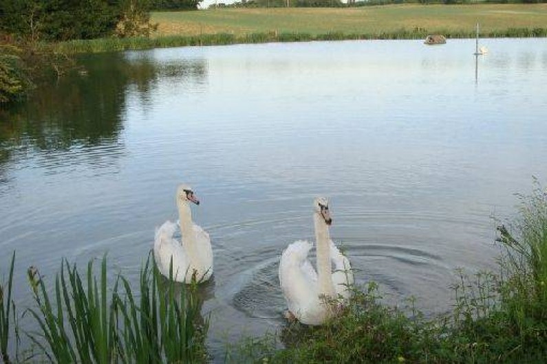 Location de vacances - Bungalow - Mobilhome à Montignac-de-Lauzun