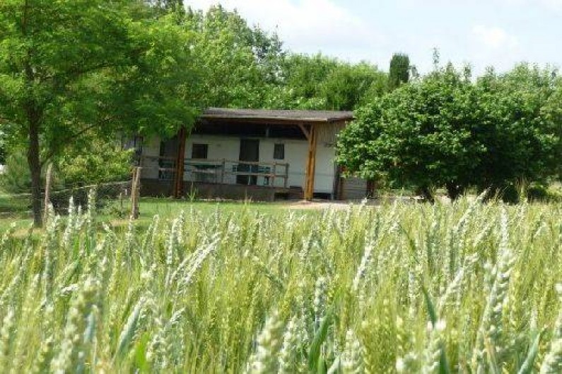 Location de vacances - Bungalow - Mobilhome à Montignac-de-Lauzun