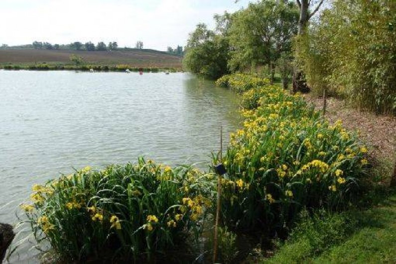 Location de vacances - Bungalow - Mobilhome à Montignac-de-Lauzun