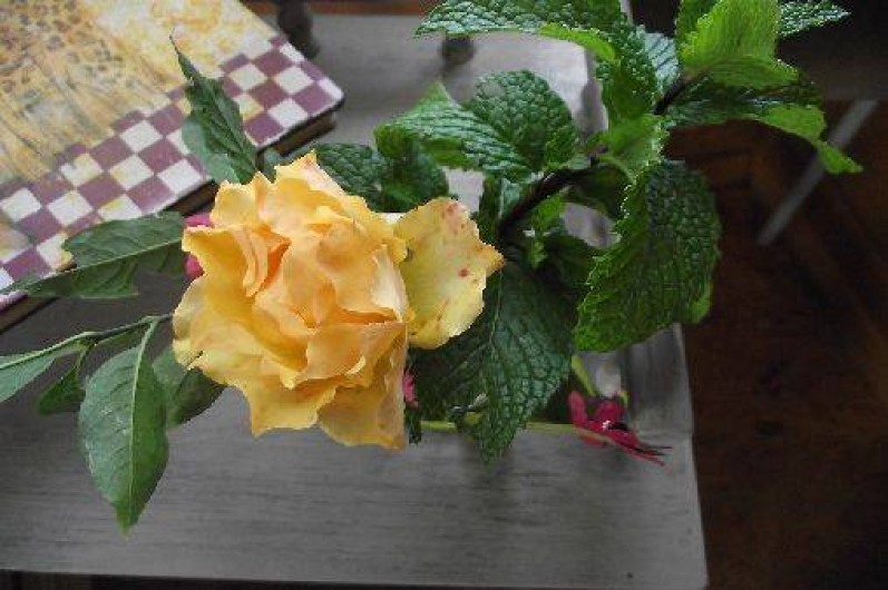 Location de vacances - Chambre d'hôtes à Voussac