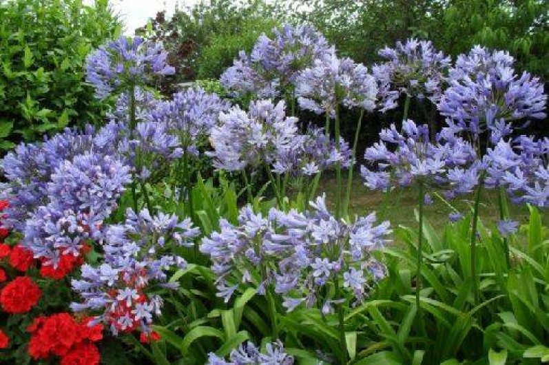 Location de vacances - Gîte à Saint-Cast-le-Guildo