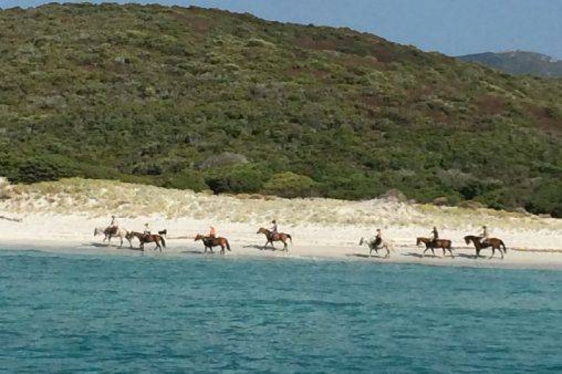 Location de vacances - Maison - Villa à Saint-Florent