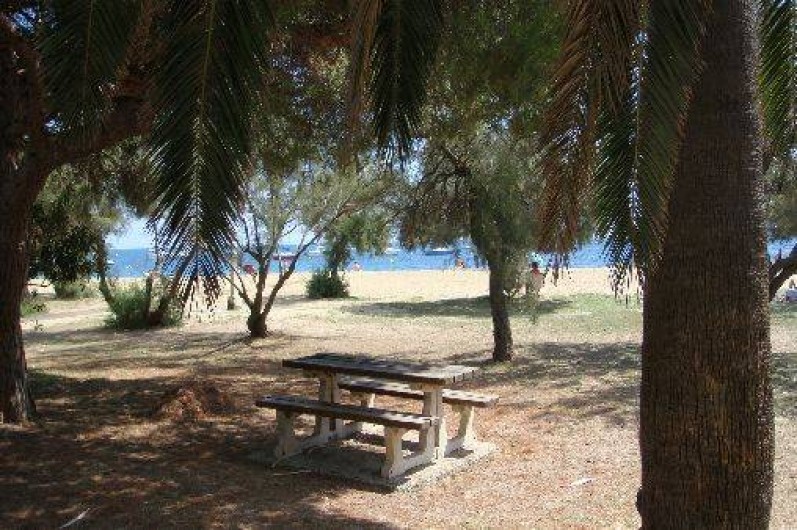 Location de vacances - Appartement à Hyères