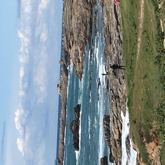 Location de vacances - Studio à Quiberon