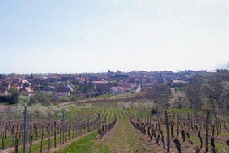 Location de vacances - Gîte à Dahlenheim