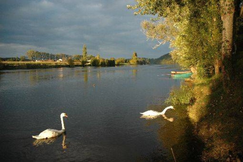 Location de vacances - Gîte à Badefols-sur-Dordogne - Vie sauvage de la rivière