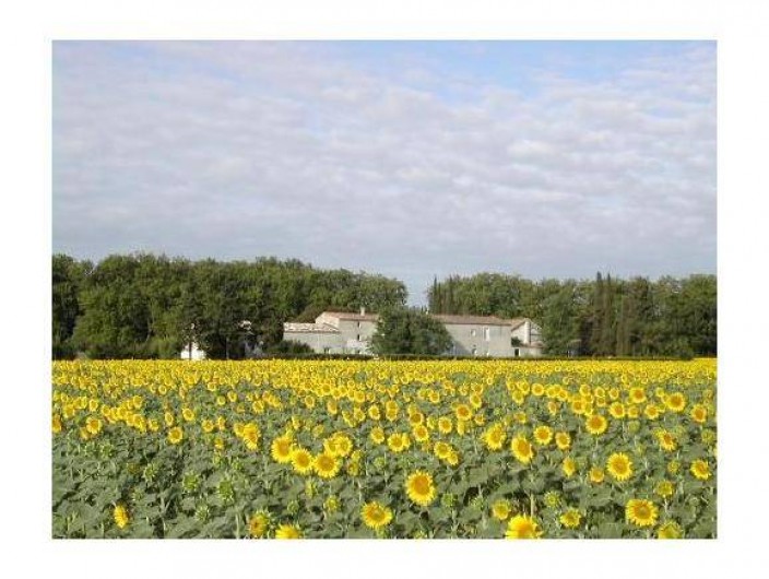 Location de vacances - Gîte à Bram