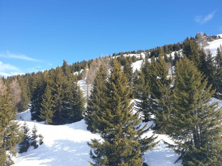 Location de vacances - Appartement à Valmeinier 1800