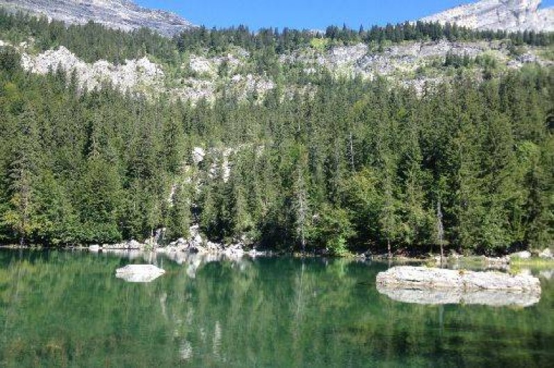 Location de vacances - Chalet à Servoz