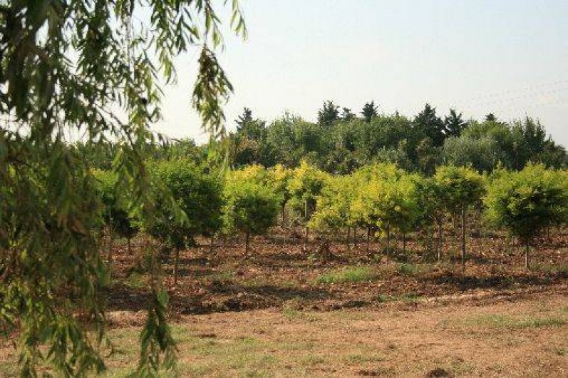 Location de vacances - Villa à Fréjus