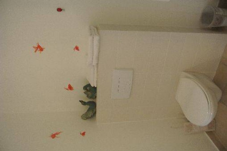 Location de vacances - Appartement à Galéria