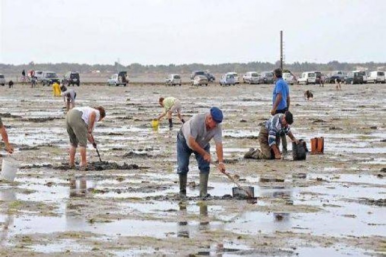 Location de vacances - Gîte à Beauvoir-sur-Mer