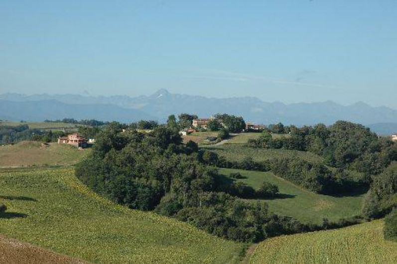 Location de vacances - Gîte à Gaillac-Toulza