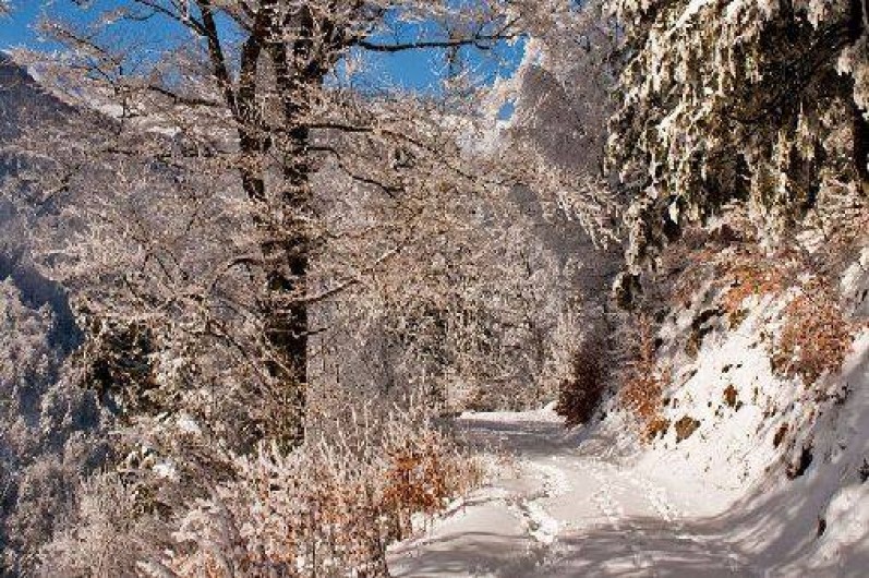 Location de vacances - Camping à Praz-sur-Arly