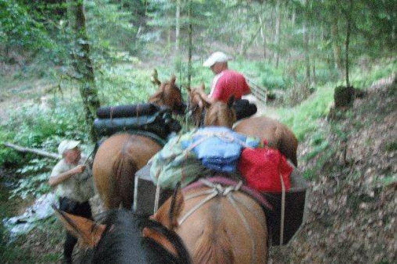 Location de vacances - Chambre d'hôtes à Amont-et-Effreney - Rando