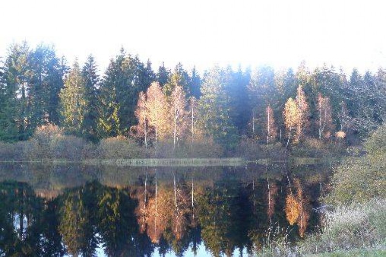 Location de vacances - Chambre d'hôtes à Amont-et-Effreney - Un des nombreux étangs