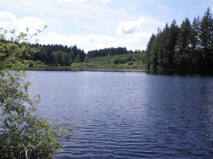 Location de vacances - Chambre d'hôtes à Amont-et-Effreney - L'étang de Faideaugrave à 2 km