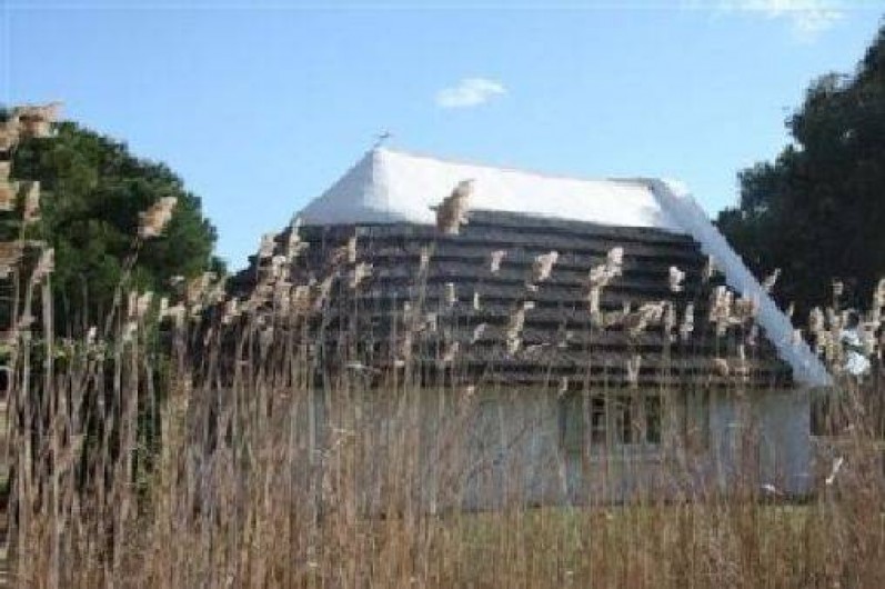 Location de vacances - Mas à Saintes-Maries-de-la-Mer