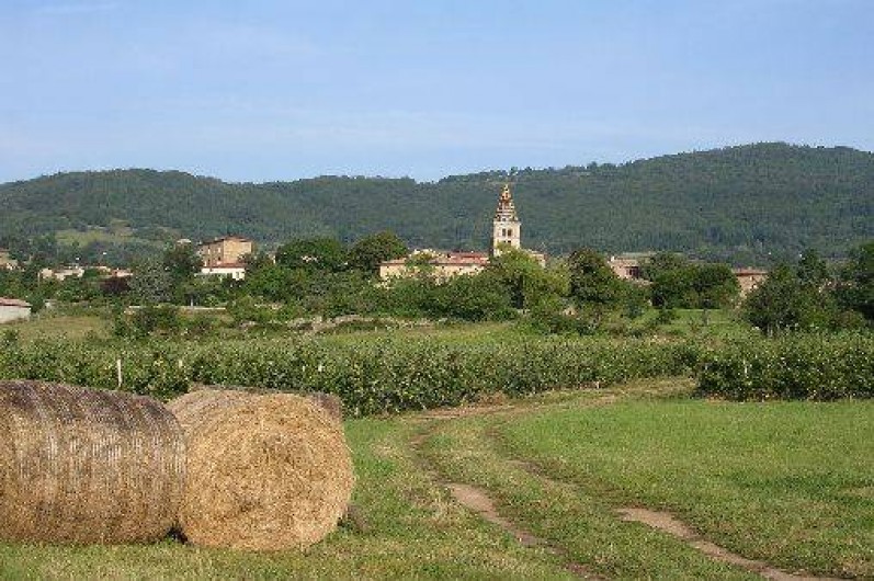 Location de vacances - Gîte à Saint-Appolinard