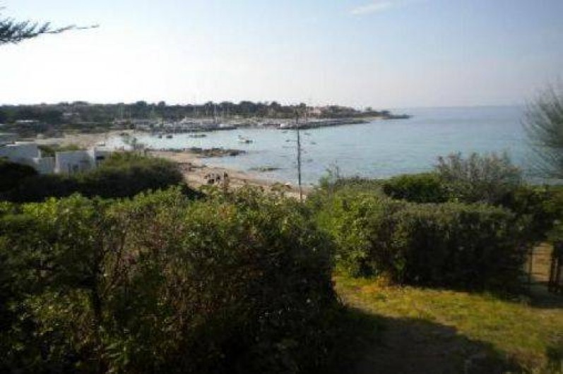 Location de vacances - Maison - Villa à Lumio