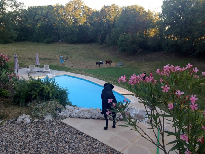 Location de vacances - Gîte à Issigeac