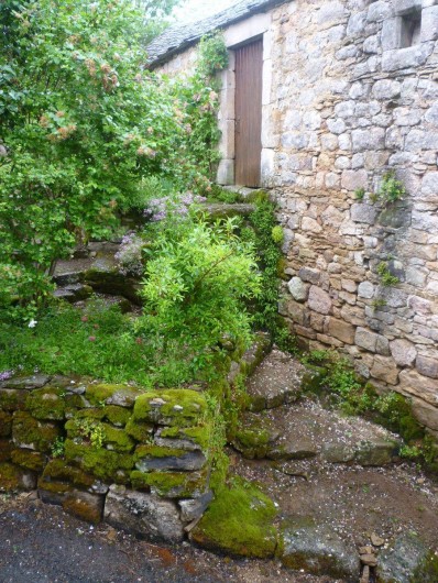 Location de vacances - Gîte à Saint-Léons