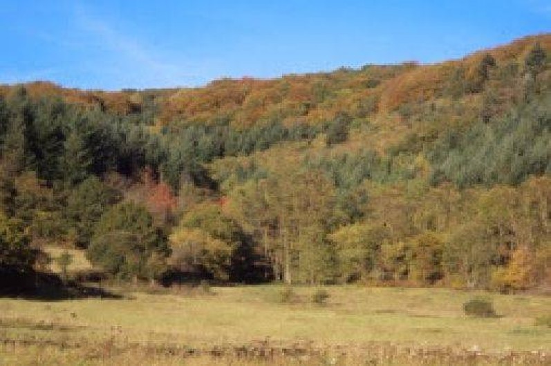 Location de vacances - Gîte à Comps-la-Grand-Ville