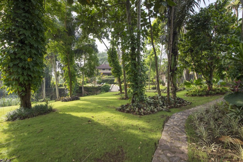 Location de vacances - Villa à Ubud